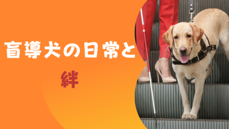 盲導犬の日常と絆